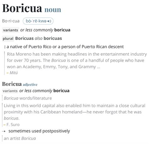 boricua meaning|Boricua Definition & Meaning